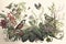 hand-painted botanical illustration of a fantasy garden featuring vintage blooms, birds, and fairies
