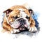Hand Painted Bulldog Watercolor