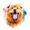 Hand Painted Chow Chow Dog Watercolor