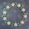 Hand painted Christmas gingerbread green and white candy cane and snowflakes on a beautiful grey background. Card