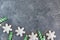 Hand painted Christmas gingerbread green and white candy cane and snowflakes on a beautiful grey background. Card