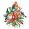 Hand painted Christmas. Robin, holly, spruce branches, birds on isolated white background, Victorian clipart watercolor