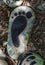 Hand-painted colorful stones. Stone painting. Human foot drawing
