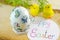 Hand painted decoupage Easter egg on a wooden surface