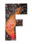 Hand Painted Letter F With Fox