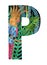 Hand Painted Letter P With Parrot