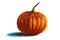 Hand painted, Oil pastel pumpkin for halloween, fall and autumn celebrations, isolated object on white background