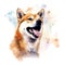 Hand Painted Shiba Inu Dog Watercolor