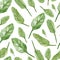 Hand painted Spinach. Watercolor seamless pattern healthy eco food. Greenery plants