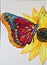 Hand painted vibrant watercolor butterflies on a yellow sunflower blossom.