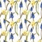 Hand painted watercolor floral pattern seamless blue grape hyacinth yellow daffodils narcissus white background