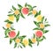 Hand-painted Watercolor Lemons And Grapefruits Wreath