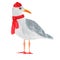 hand-painted watercolor seagull in a red hat and scarf. no background for your ideas
