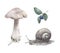 Hand painted watercolor set with snail, mushroom and blueberry