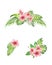 Hand painted watercolor set of tropical bouquet hibiscus flowers, palm tree and monstera leaves isolated on white background.