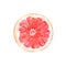 Hand painted watercolor slice of pink grapefruit