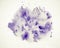 Hand painted watercolor stain , purple color blot on white paper