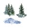 Hand painted winter nature illustration. Watercolor evergreen pine trees on white background. Woodland landscape graphic