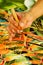 Hand Painting Batik