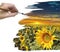 Hand painting sunflower field