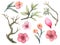 Hand painting watercolor illustrationi element asain chinese Korean and Japan kimono branch foliage cherry blossom element
