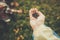 Hand palm holding blueberries on background of sunny mountains a