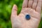 Hand palm holding blueberry on background of green garden