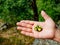 Hand palm holding chakra stone in heart shape with paint of mountains outline