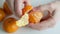 Hand Peeling a mandarin orange on white background. Close up.