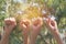 Hand of people arm raising up showing power strong on nature background.