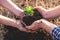 Hand of people helping plant the seedlings tree to preserve natural environment while working save world together, Earth day and