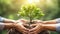 Hand of people helping plant the seedlings tree to preserve natural environment while working save world together. Generative AI
