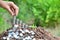 Hand of person put the coin on stack coins on the soil and nature background