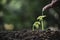 Hand of person watering young tree in nature background