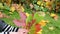 Hand pick various color form tree leaves. cute autumn bunch