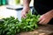 hand picking fresh basil for meat marinade