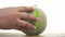 The hand picks up the melon piece from its fruit after cutting it. To show off the delicious melon.