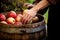 hand placing a fresh apple on a barrel full of cider