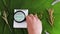 Hand placing magnifying glass on notepad with text on tropical monstera leaf with herbs