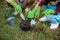 Hand planting a new plant on pot. gardening activity