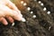 Hand planting pumpkin seed on soil in the vegetable garden agriculture / Gardening works concept