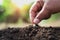 hand planting pumpkin seed in the vegetable garden and light warm. agriculture