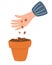 Hand planting seeds in a pot. Spring seedlings. Domestic orangery and care concept. Gardening hobby. Vector hand drawn