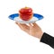 Hand with plate and chopped apple