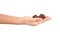 A hand playing with Wenwan Walnut in front of white background