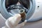 Hand of a plumber holding a broken flexible drain hose of washing machine, clogged and covered with lime scale, dirt limescale and