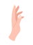 Hand pose icon