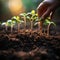 Hand pouring black soil on green bokeh background Planting a small plant on a pile of soil