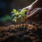 Hand pouring black soil on green bokeh background Planting a small plant on a pile of soil