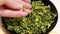 A hand that pours dried parsley leaves on a saucer . Aromatic spices.